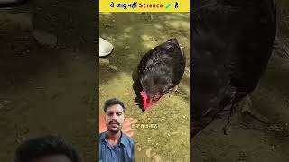 Yeh to kaamal h 😄 viralvideo amazingfacts funny factsinhindi amazing shorts [upl. by Manus]