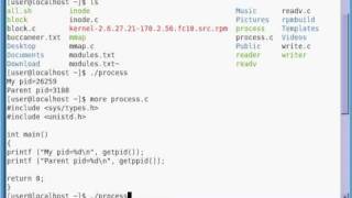 Obtaining the Process ID in Linux with C [upl. by Ocramed525]