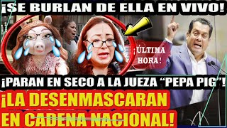 ¡PARAN EN SECO A LA JUEZA quotPEPA PIGquot EN CADENA NACIONAL LA DESENMASCARAN EN VIVO [upl. by Niran]