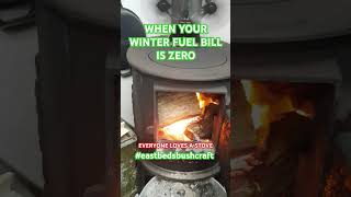 Everyone loves a stove logburner survival winterfuelbill [upl. by Battista]