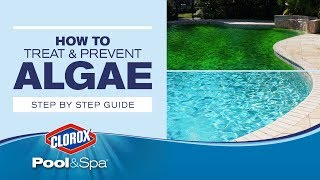 Treating and Preventing Green Mustard and Black Algae in Pools Clorox® PoolampSpa™ [upl. by Aronoff906]