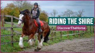 Riding the Shire Horse in England [upl. by Leoy]