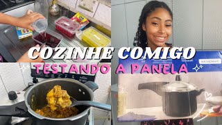 COZINHE COMIGO testando a panela nova  carne de panela  sobremesa 💖 [upl. by Schroth711]