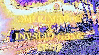 AMERIMADOG x INVALID GANG  Playlist TIK TOK MUSIC  ТИК ТОК МУЗЫКА [upl. by Hughie897]