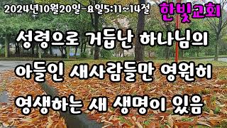 7색 무지개퀘쉐트언약의 복음 요일51114절 [upl. by Shererd]