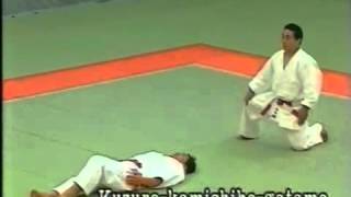 Judo Katamenokata [upl. by Isleana]