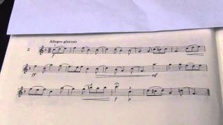 Violin Grade 5 Sight Reading No 2 Allegro giocoso [upl. by Trakas]