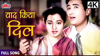 याद किया दिल ने  Yaad Kiya Dil Ne  Dev Anand Usha Kiran  Patita Movie Full Song [upl. by Halik]