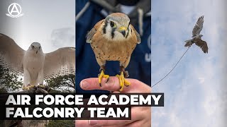 US Air Force Academys Falconry Team [upl. by Shiau644]