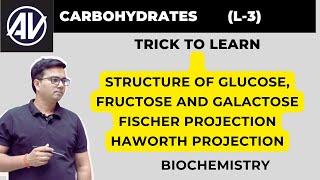 Carbohydrates structure of Glucose Fructose and Galactose Fischer projection Haworth projection [upl. by Vivyan347]