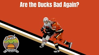 Are the Ducks Bad Again [upl. by Ayirp]