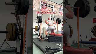 455 Box Squats elitefts westsidebarbell conjugate glutes quads [upl. by Eelaras]