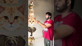 Monkey dog cat elephant snake vfx magic video shorts shorts vfx [upl. by Ashia557]