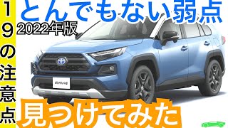 【PHVとHEVは同じ値段？１９の注意点】RAV４マイナーチェンジ！ [upl. by Sykleb]