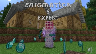 Enigmatica 6 Expert  A Great Start  Ep 1 [upl. by Henden]