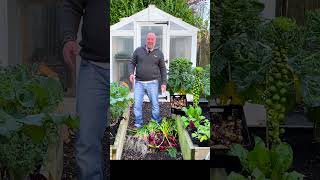 short Harvest of potatoes Beetroot and Shallots [upl. by Marienthal20]