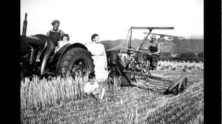 A Family Farm Life on an Illinois Dairy Farm [upl. by Amek]