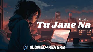 Tu Jaane Na Lyrics SlowedReverb Atif Aslam  Lyrical Audio003 trending youtube lyrics [upl. by Oba]