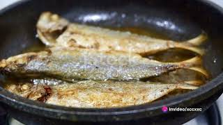 Tripletail Fish The Ultimate Cooking Guide [upl. by Julis]