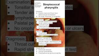 Streptococcal pharyngitis [upl. by Petigny]