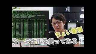 Windows【コマンドプロンプトで遊んでみる】ちょっとだけコンピューターと仲良くなれるかも [upl. by Lipps]