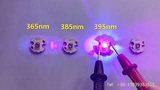 Ultraviolet 365nm VS 385nm VS 395nm VS 405nm  LG UV LED comparision  UV Glue Curing UV glass [upl. by Bartle150]