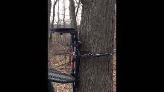 The safest way to hang a deer stand [upl. by Yurik127]