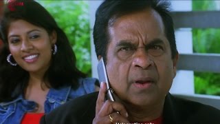 Back 2 Back Brahmanandam Comedy Scenes  Seema Tapakai [upl. by Melodee]