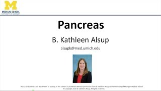 Pancreas Lecture [upl. by Barry]