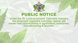 Public Notice 7  Saint Lucia Cannabis Industry [upl. by Cass]