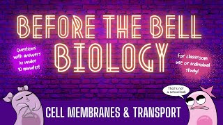 Cell Membranes and Transport Before the Bell Biology [upl. by Pamela]