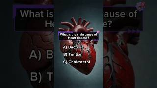 Anatomy Quiz shortsfeed ytshorts quiztime youtubeshorts anatomyquiz youtubesearch shortsbeta [upl. by Eninnaej264]