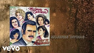 Vicente Fernández  Mujeres Divinas Cover Audio [upl. by Pinelli]