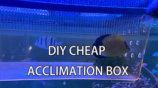 20230417 DIY Acclimation Box 4K [upl. by Ranzini245]