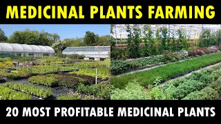 Most profitable Medicinal Plants farming in India  Medicinal Plants Cultivation Business [upl. by Walker491]