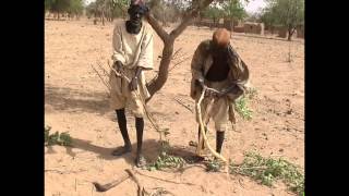 Smelting Iron in Africa A DEMONSTRATION [upl. by Gall]