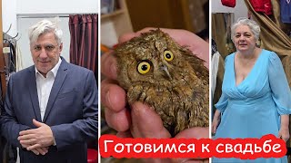 VLOG Вот это поворот У нас появилась сова [upl. by Nahtanoy]