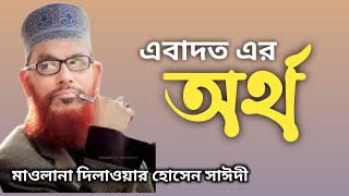 Ebadoter Ortho  delawar Hosen saidi bangla jalsa  miladwazPART 1 [upl. by Cato]