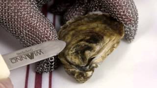 How to Shuck an Oyster The Right Way [upl. by Maggee]