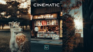 POV CINEMATIC Presets  Lightroom Mobile Preset Free DNG  POV Street Photography Presets [upl. by Zebe]