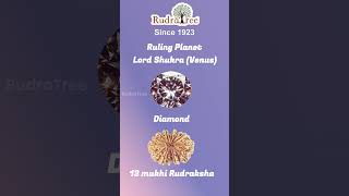 Agneeswarar Shukra Temple  Kanjanur  Lord Shukra  RudraTree Rudraksha and Gemstones [upl. by Garlaand641]