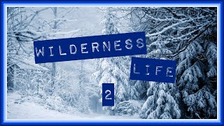 Wilderness Life 2 2024 [upl. by Casta]