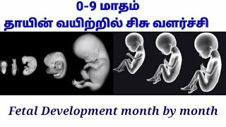 தாயின் வயிற்றில் சிசு வளர்ச்சி 09 months of baby development in womb in Tamil [upl. by Sej946]