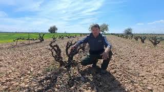 Mi nombre es Nacho Rincón y soy viticultor en la Denominación de Origen Ribera del Duero [upl. by Ardnasirk]