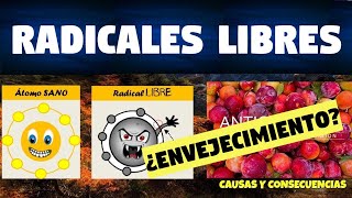 TODO SOBRE RADICALES LIBRES Y ANTIOXIDANTES  FUNCIONES Y CLASIFICACIÓN [upl. by Deegan]