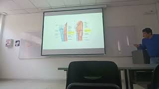 PT ABDOMEN CLASE 8 PARTE 1 [upl. by Charil587]