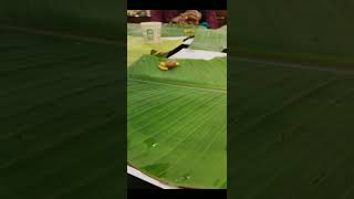 poornasree sadhya  tripunithura  food Nanavlog2003 [upl. by Aicelef]