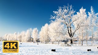 4K 11 Hours Of Beautiful Winter Scenes And Soothing Music for Relaxation [upl. by Rogerio273]