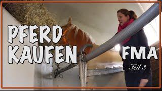 PFERD KAUFEN Teil 3 ✮✮✮✮✮ Grusel Roadtrip [upl. by Acinnod]