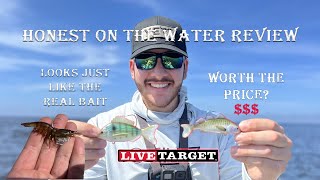 Fishing With Realistic Lures Inshore  LIVETARGET LURE REVIEW [upl. by Ardaid989]